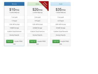 Pricing table with feature